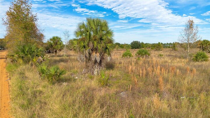 Property Photo: 28432 S Eichelberger Road FL 32778