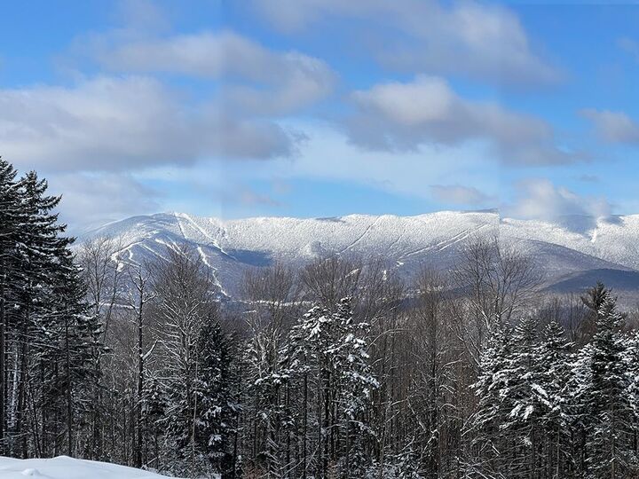 Property Photo:  00 Bowen Road  VT 05673 