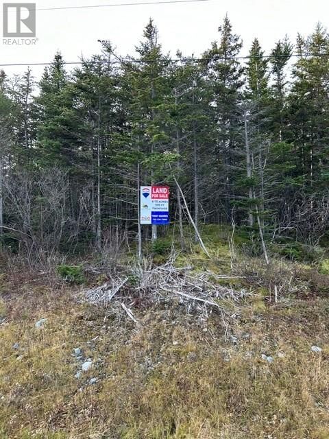Property Photo:  59-77 Main Road  NL A0B 1Z0 