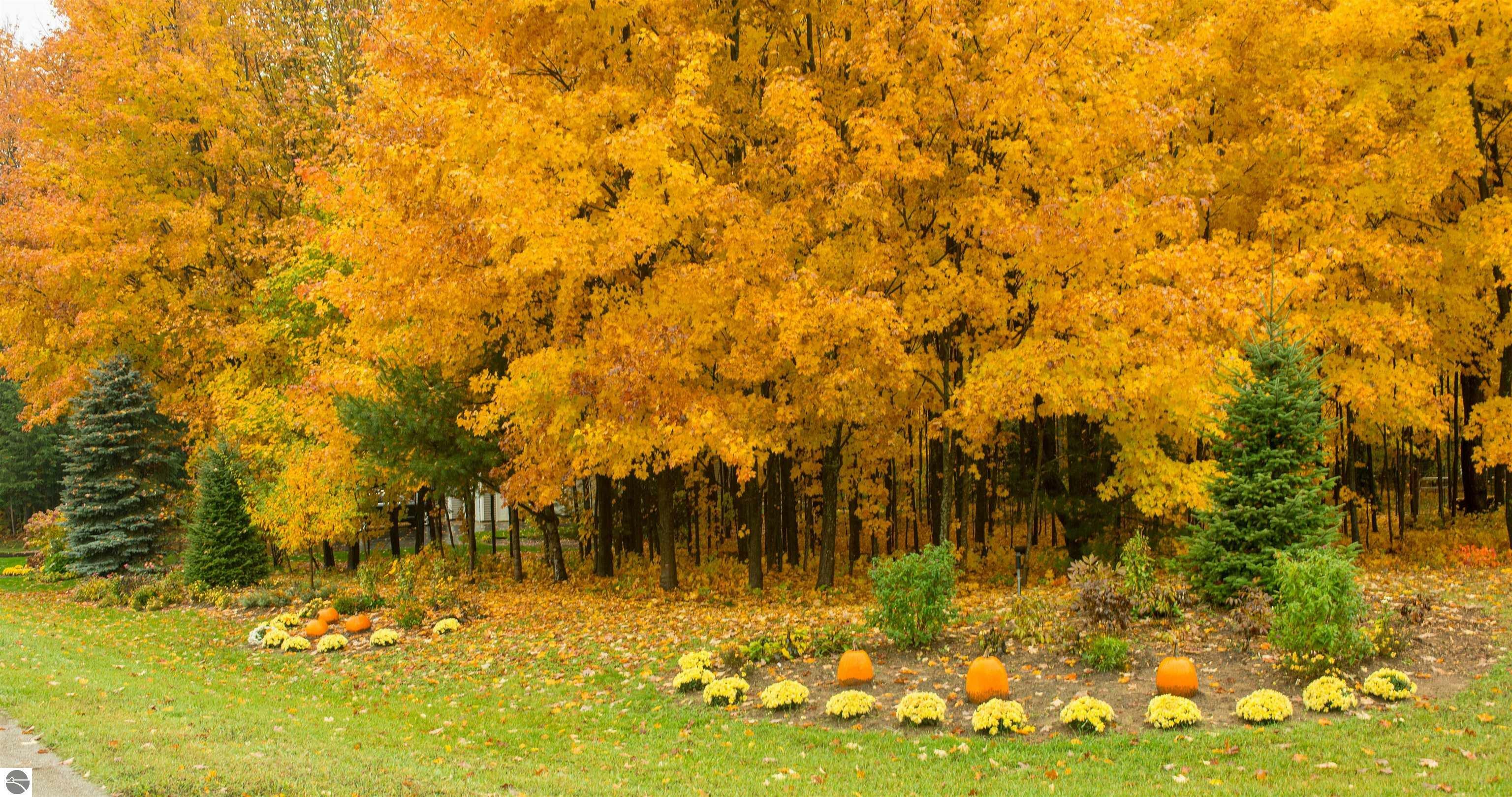 Property Photo:  0 Timber Meadows Drive  MI 49685 