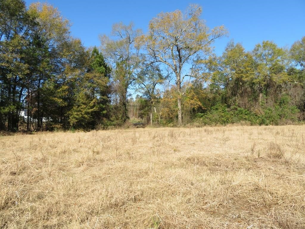 Property Photo:  3513 (1) Old Union Rd  TX 75904 