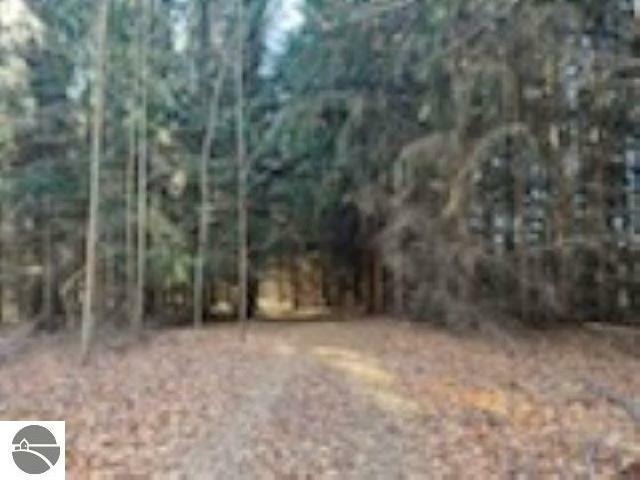Property Photo: 000 Runway Road MI 49635