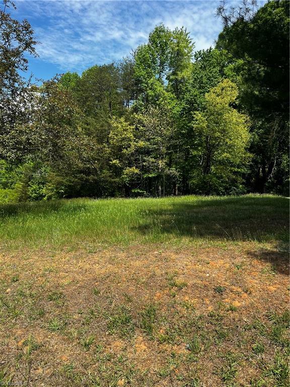Property Photo: 000000 Virgilina Circle VA 24317