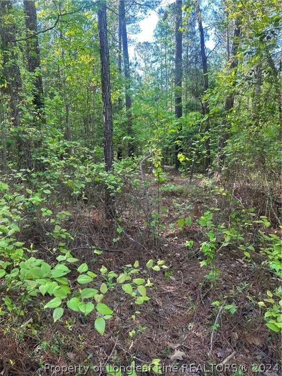 Property Photo:  4055 Niagara-Carthage Road  NC 28327 