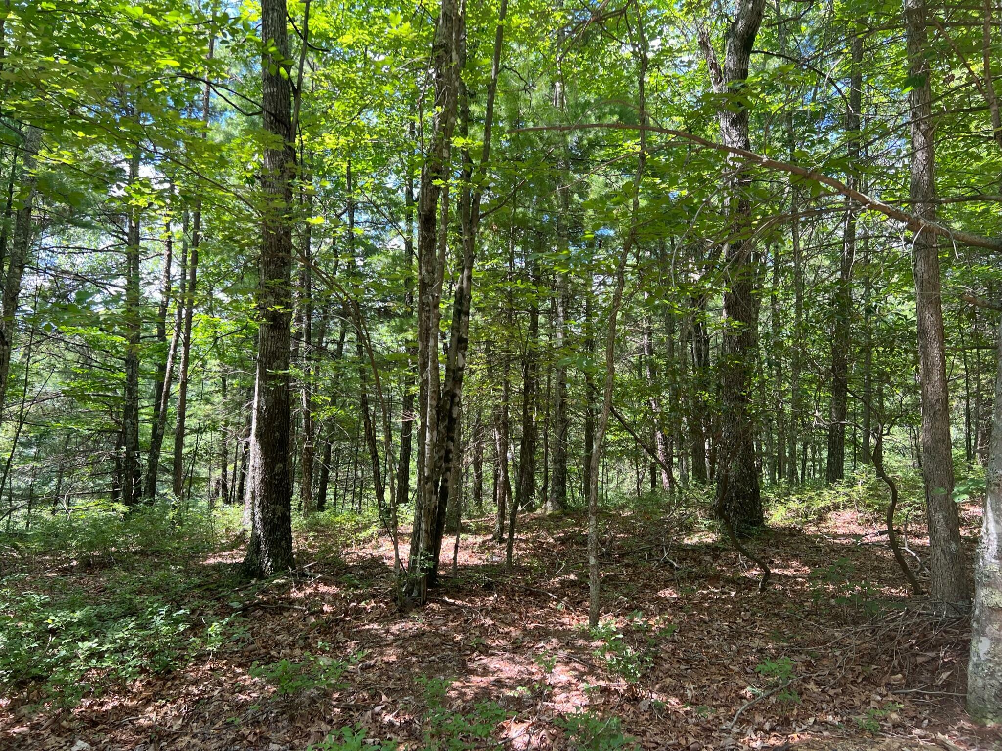 Property Photo:  Lot 45 - Waiteville Rd  WV 24984 