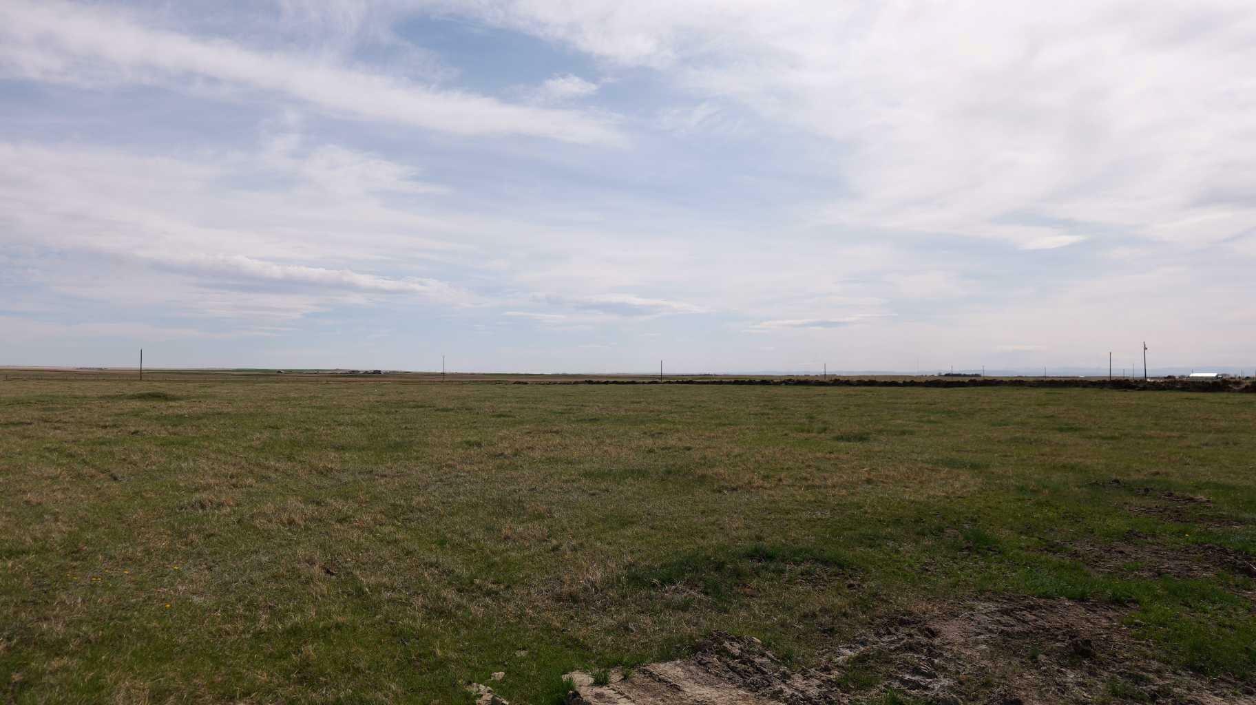 Vulcan County  Rural Vulcan County AB T0L 2B0 photo