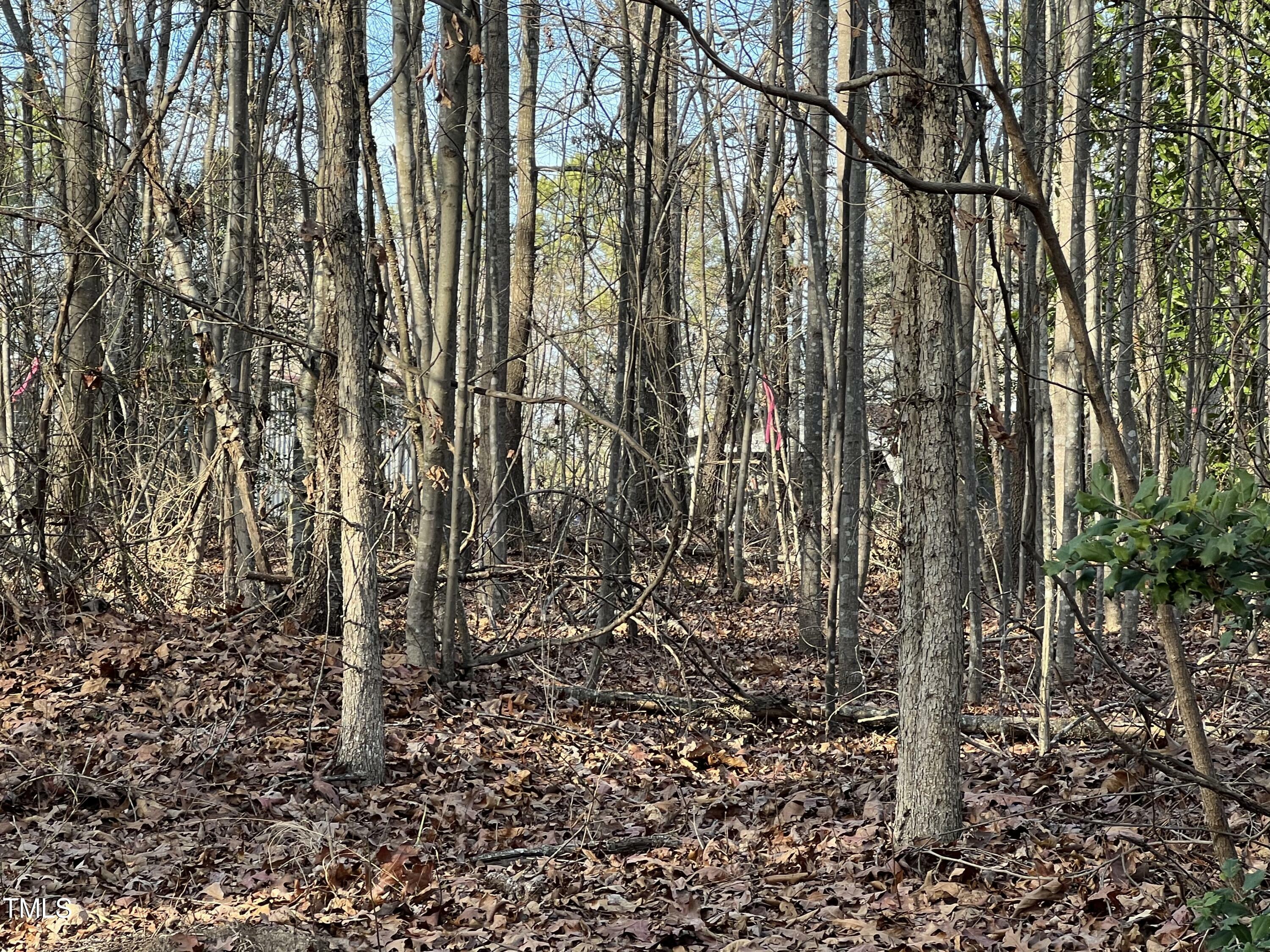 Property Photo: 184 Browers Mill Road NC 27242