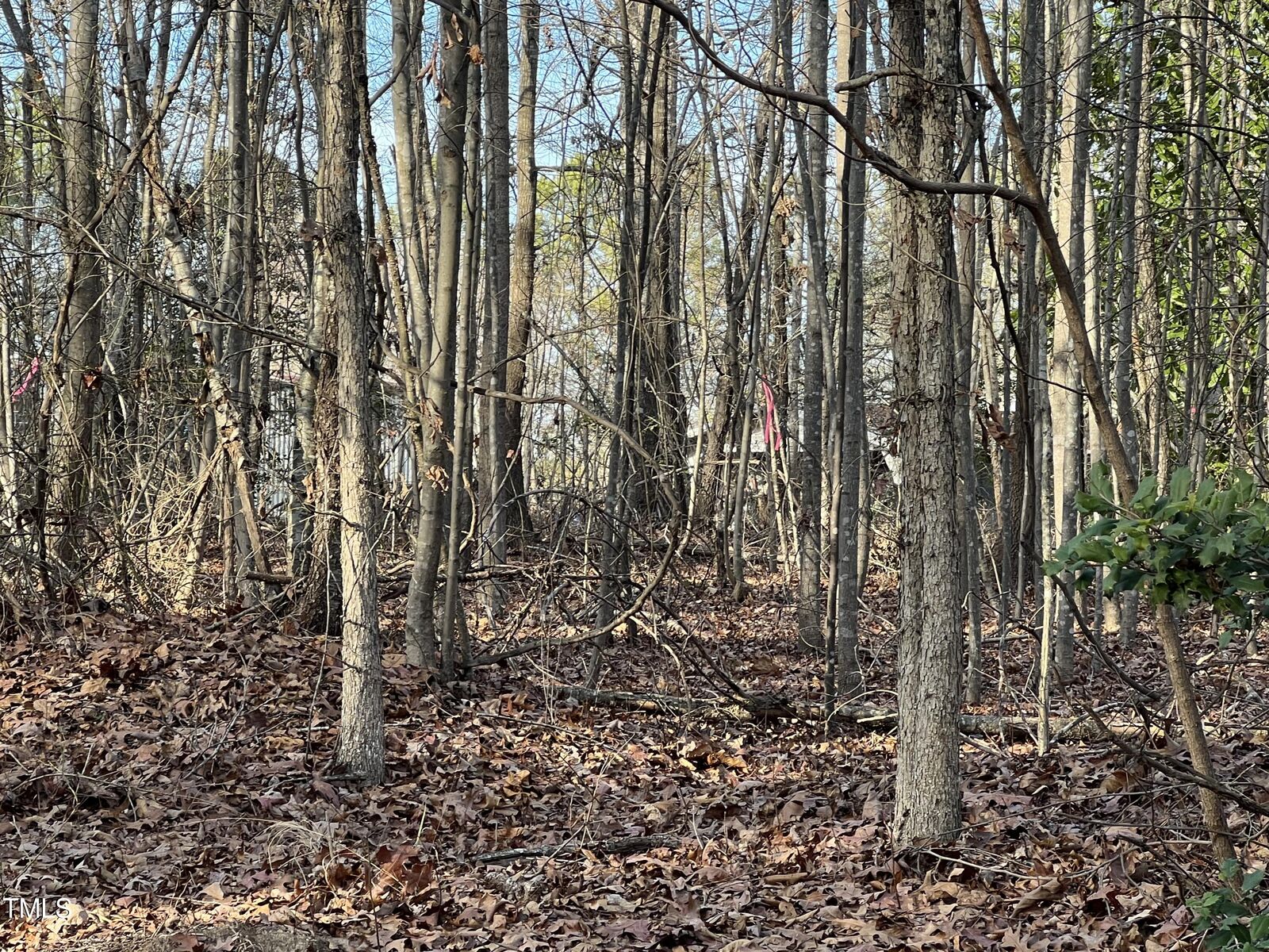 Property Photo:  184 Browers Mill Road  NC 27242 