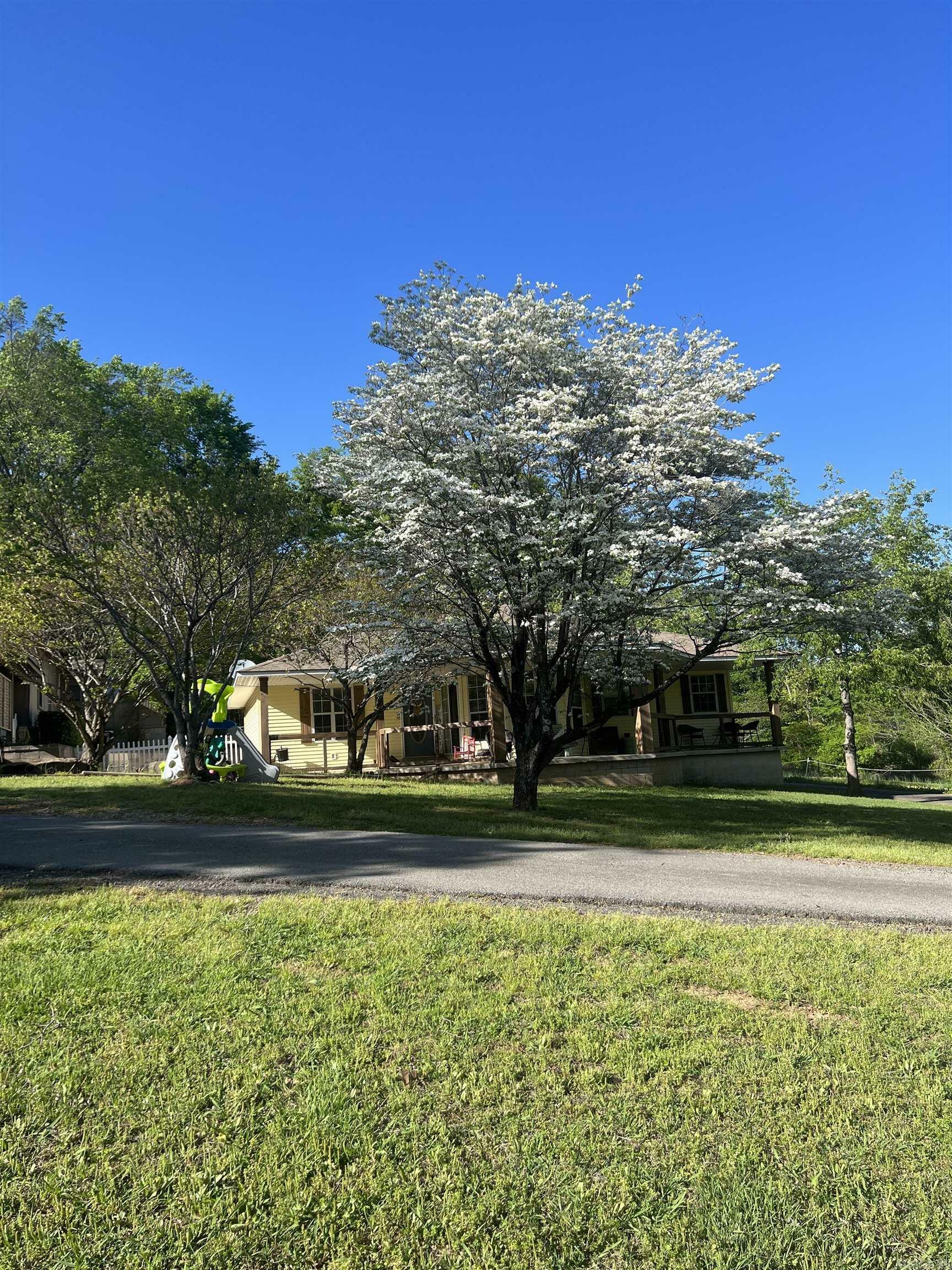 Property Photo: 9 Concho AR 72044