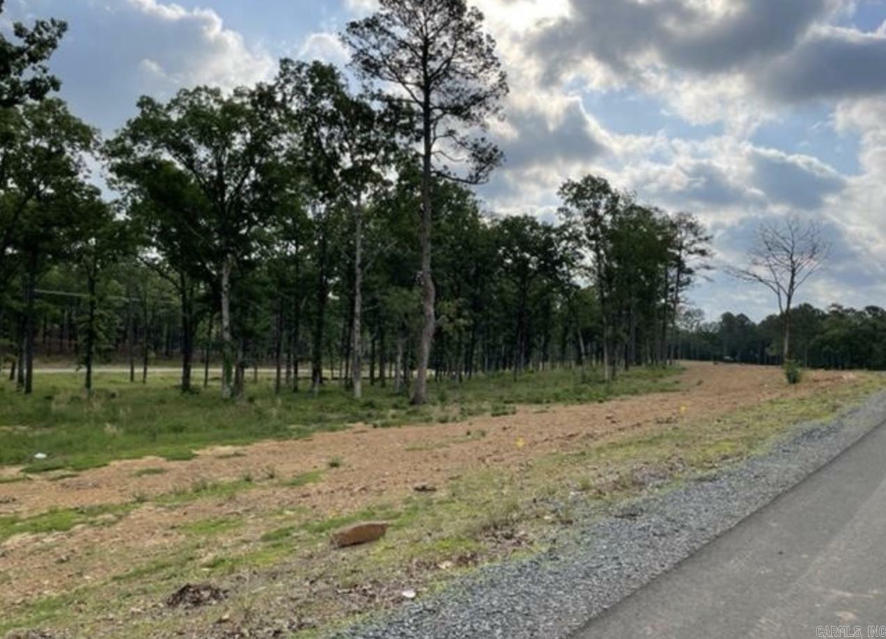 Lot 23 Orchard Hill Ph 3  Conway AR 72032 photo