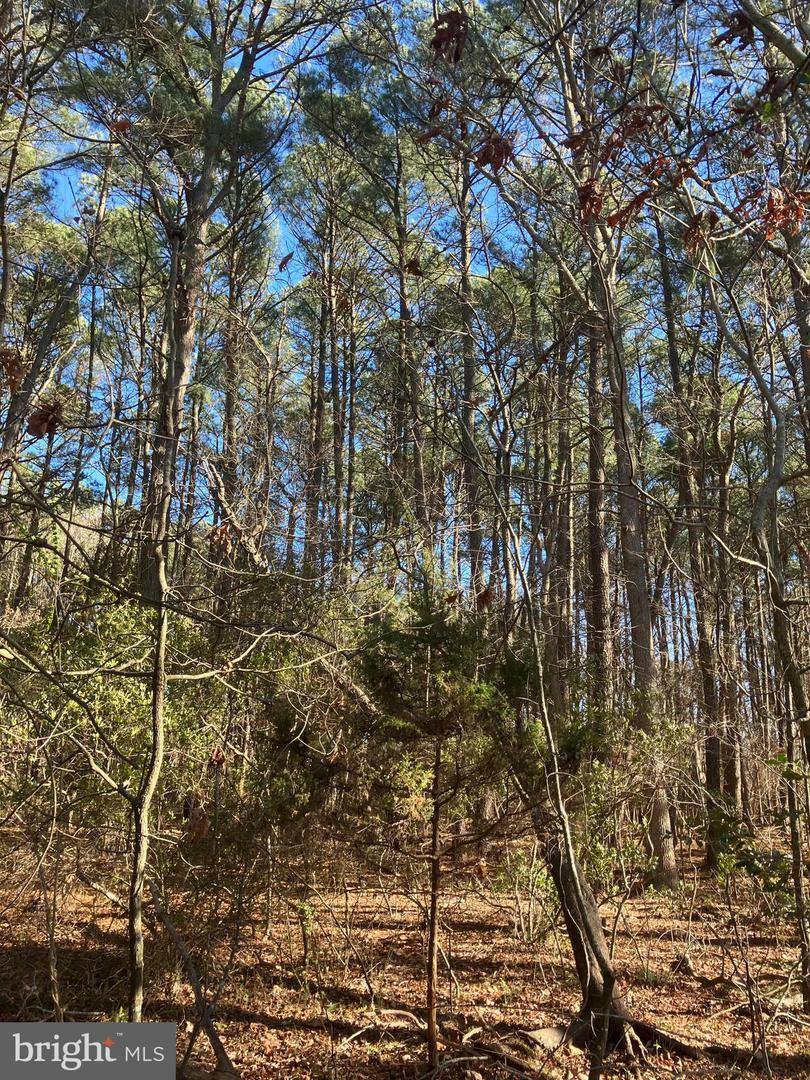 Property Photo:  Lot 11 Davis Rd  MD 21838 