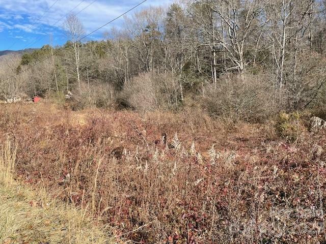 Property Photo:  Off Mackey Creek Road  NC 28762 