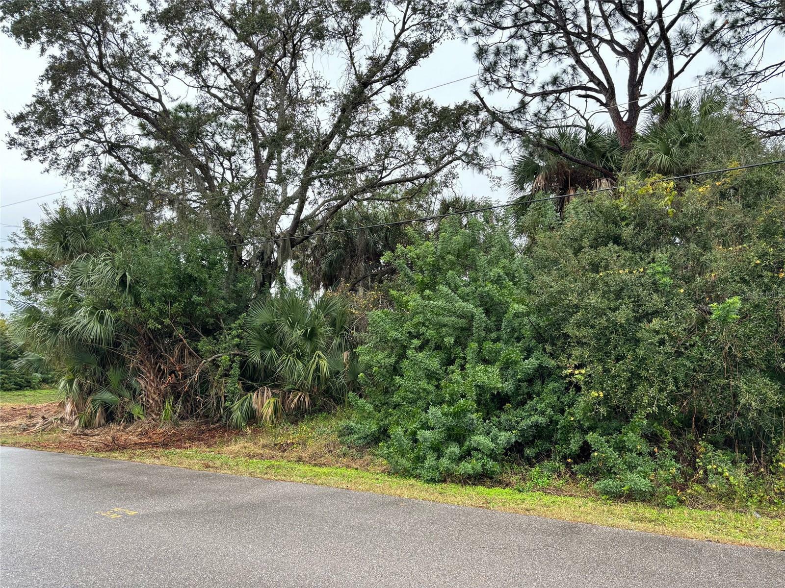 Property Photo:  Tomaso Road  FL 34287 