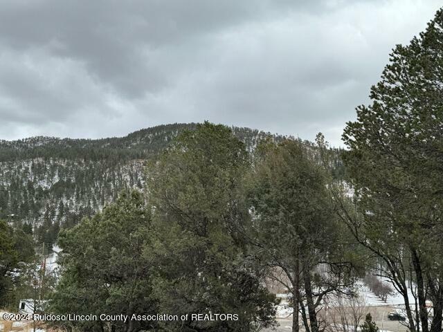 310 & 312 Cambridge Way  Ruidoso NM 88345 photo