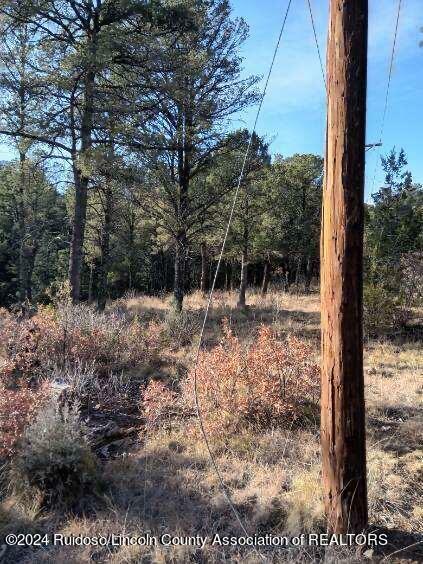 Property Photo:  202 & 204 Lancashire Lane  NM 88345 