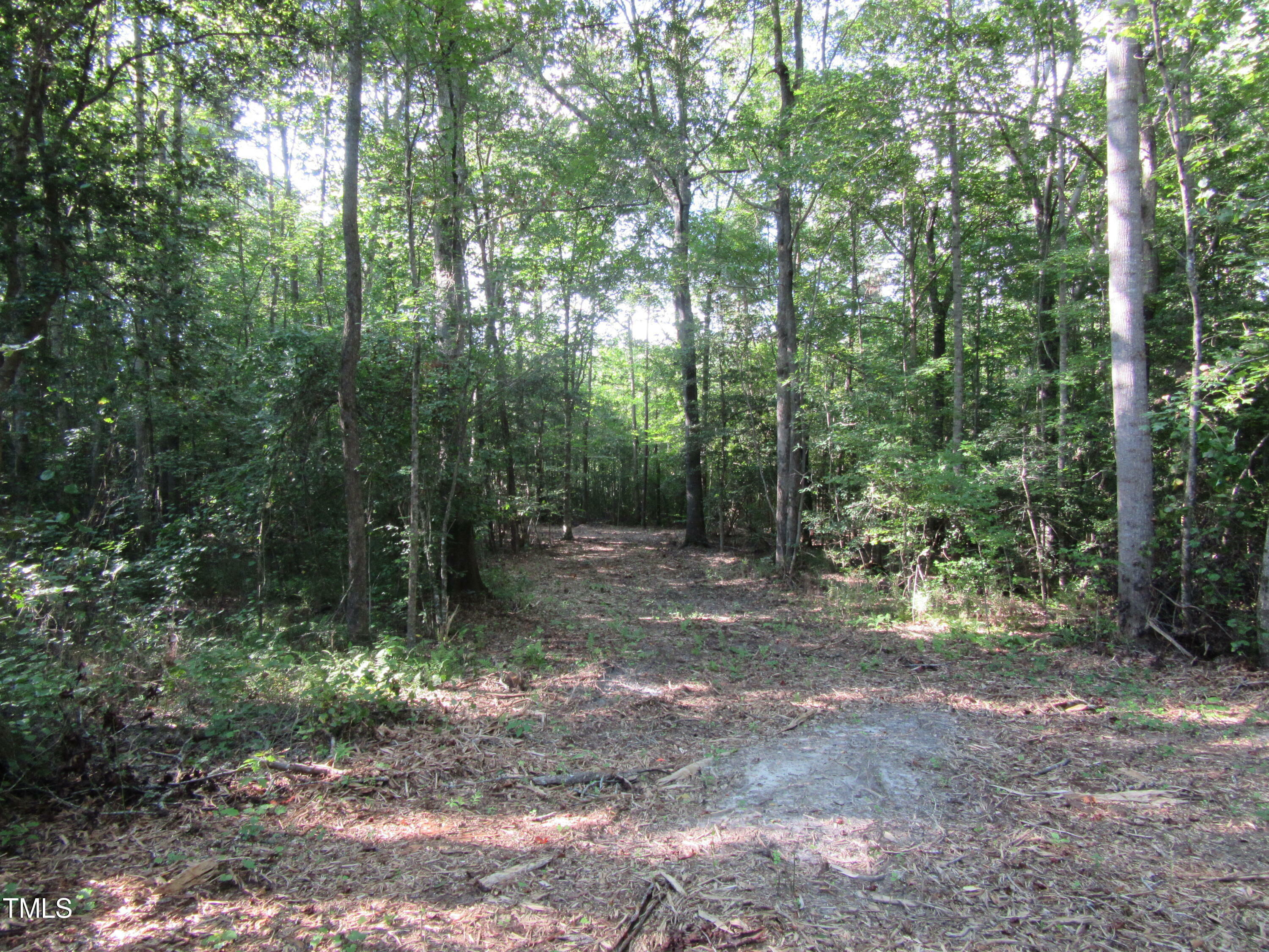 Property Photo:  0 Old US 64 Hwy  NC 27882 