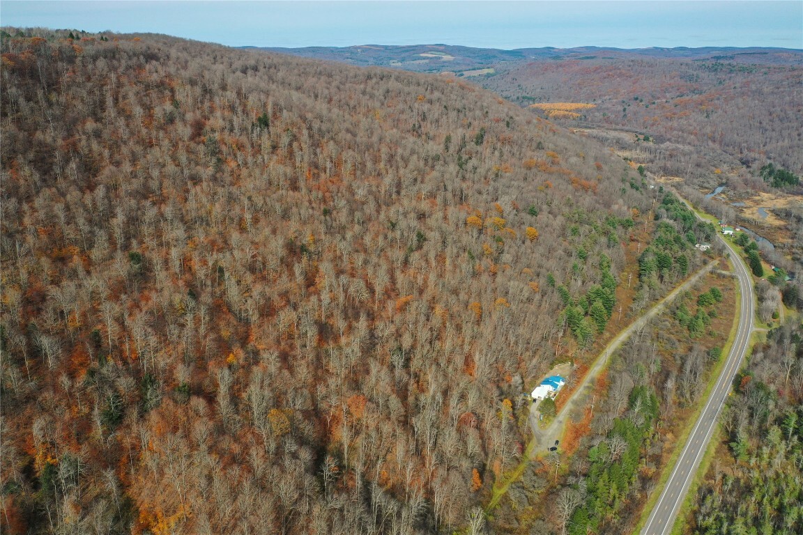 Property Photo:  0 State Route 38  NY 13835 