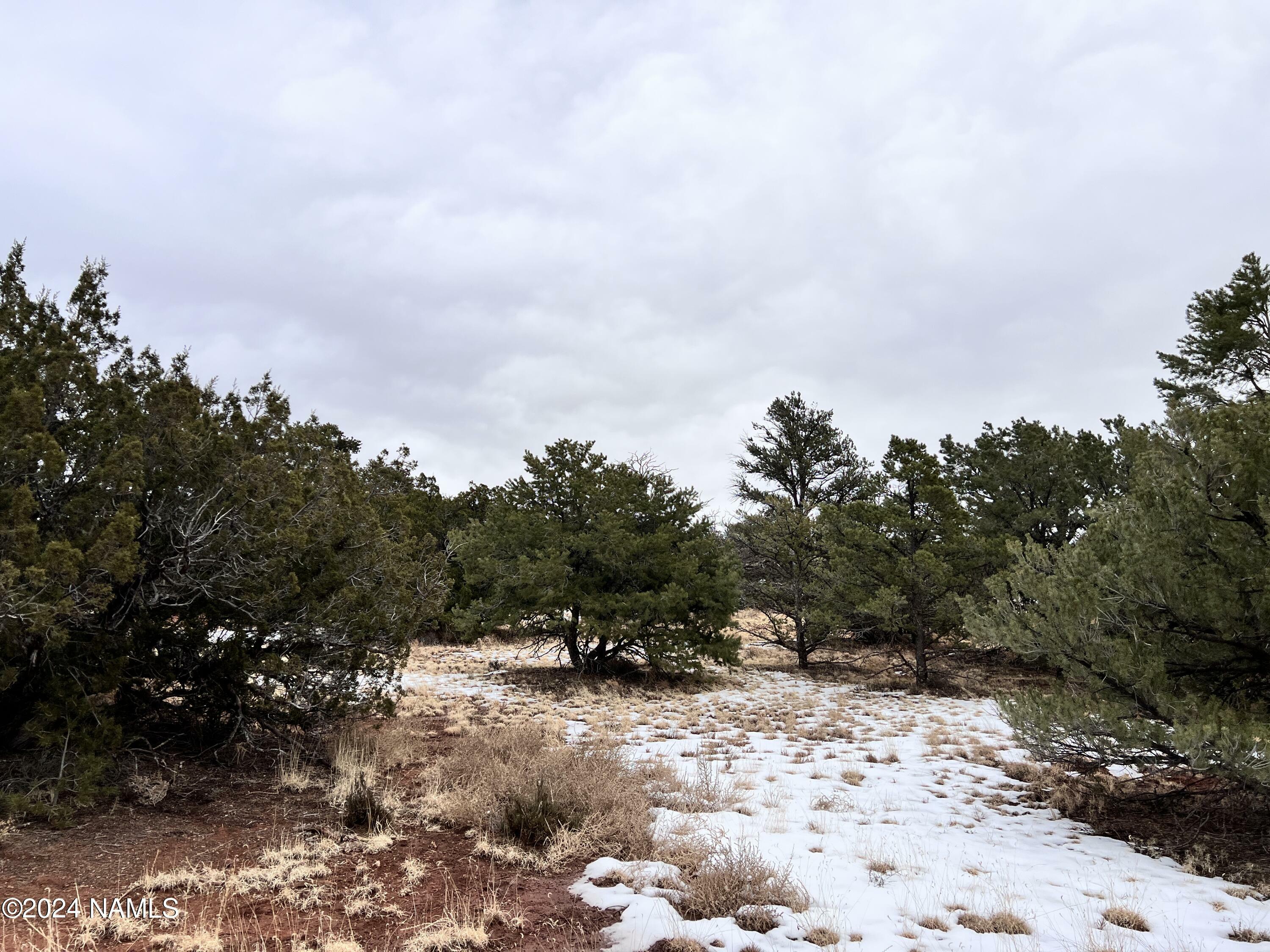 Property Photo:  8027 Water Tank - Lot B Circle  AZ 86046 