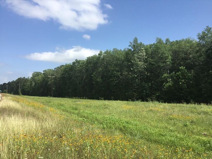 Property Photo:  0 Hwy 90  TX 77538 