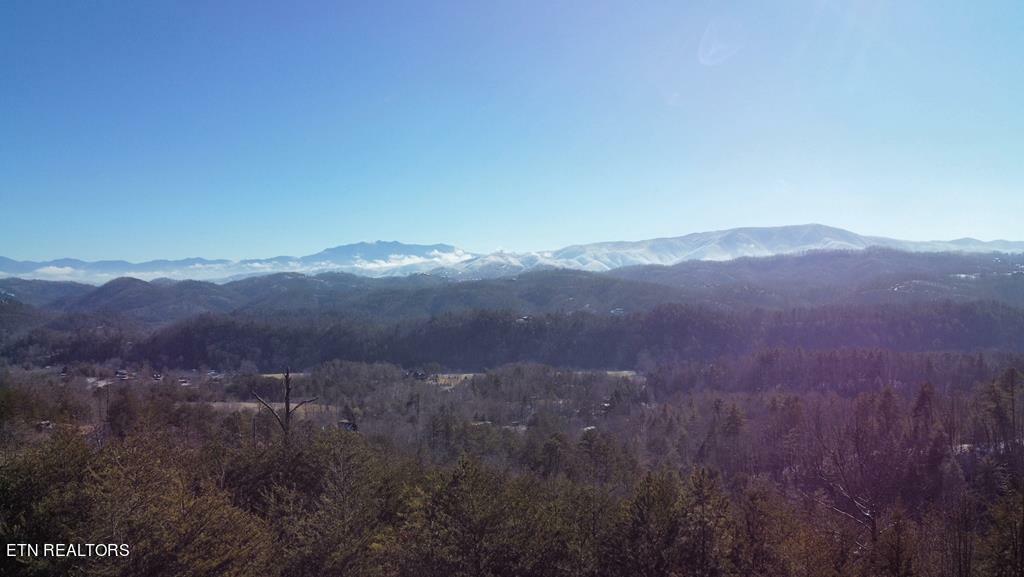 Property Photo: 3080 Misty Bluff Tr TN 37862