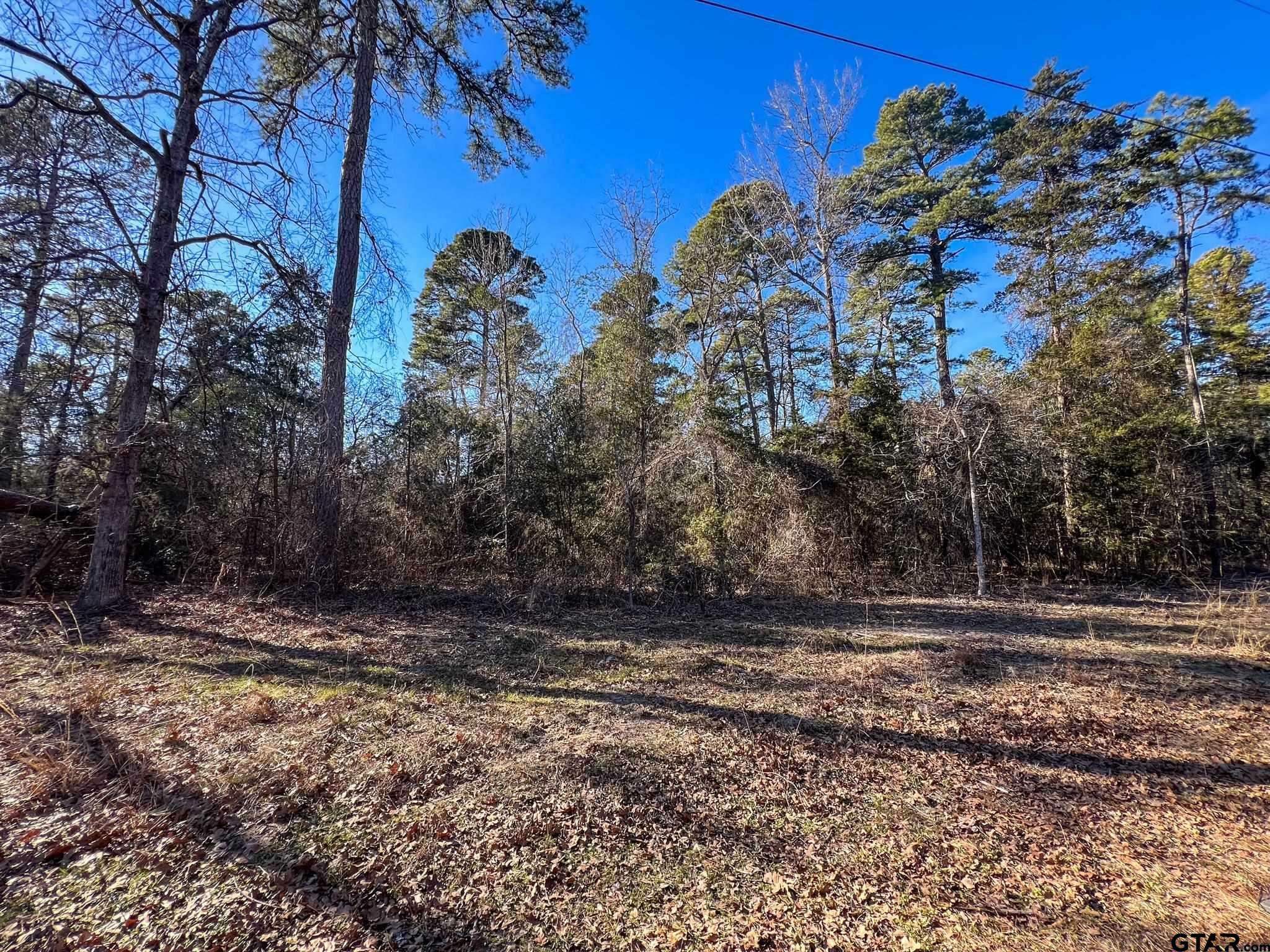 Property Photo:  Tbd King Bernard  TX 75480 