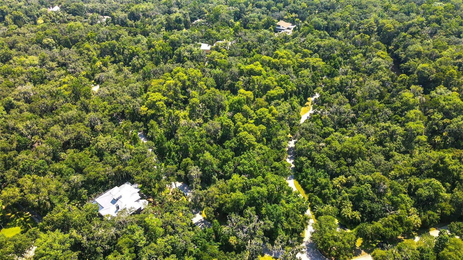 Property Photo:  4710 Rambling River Road  FL 33511 