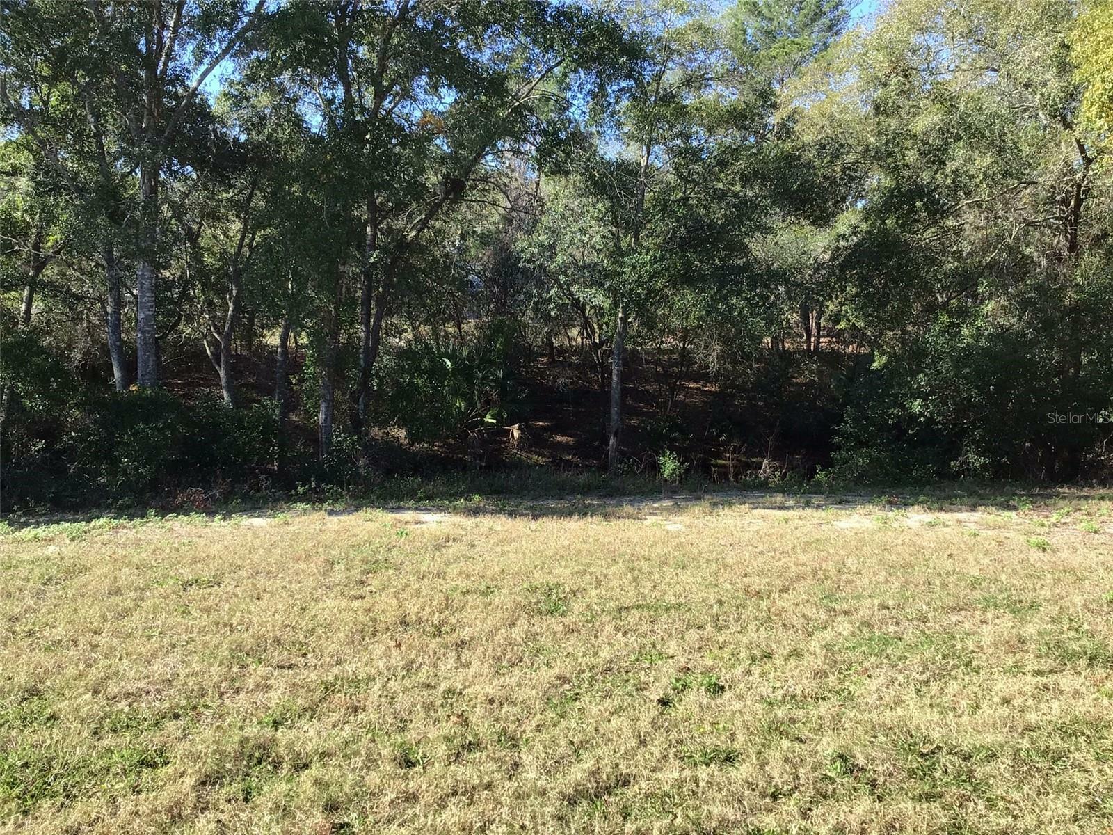 Property Photo:  12219 Darwood Drive  FL 34667 