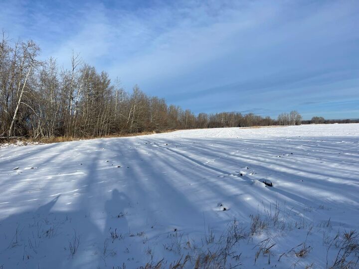 Property Photo: 17426 Township 742 AB T0G 1E0