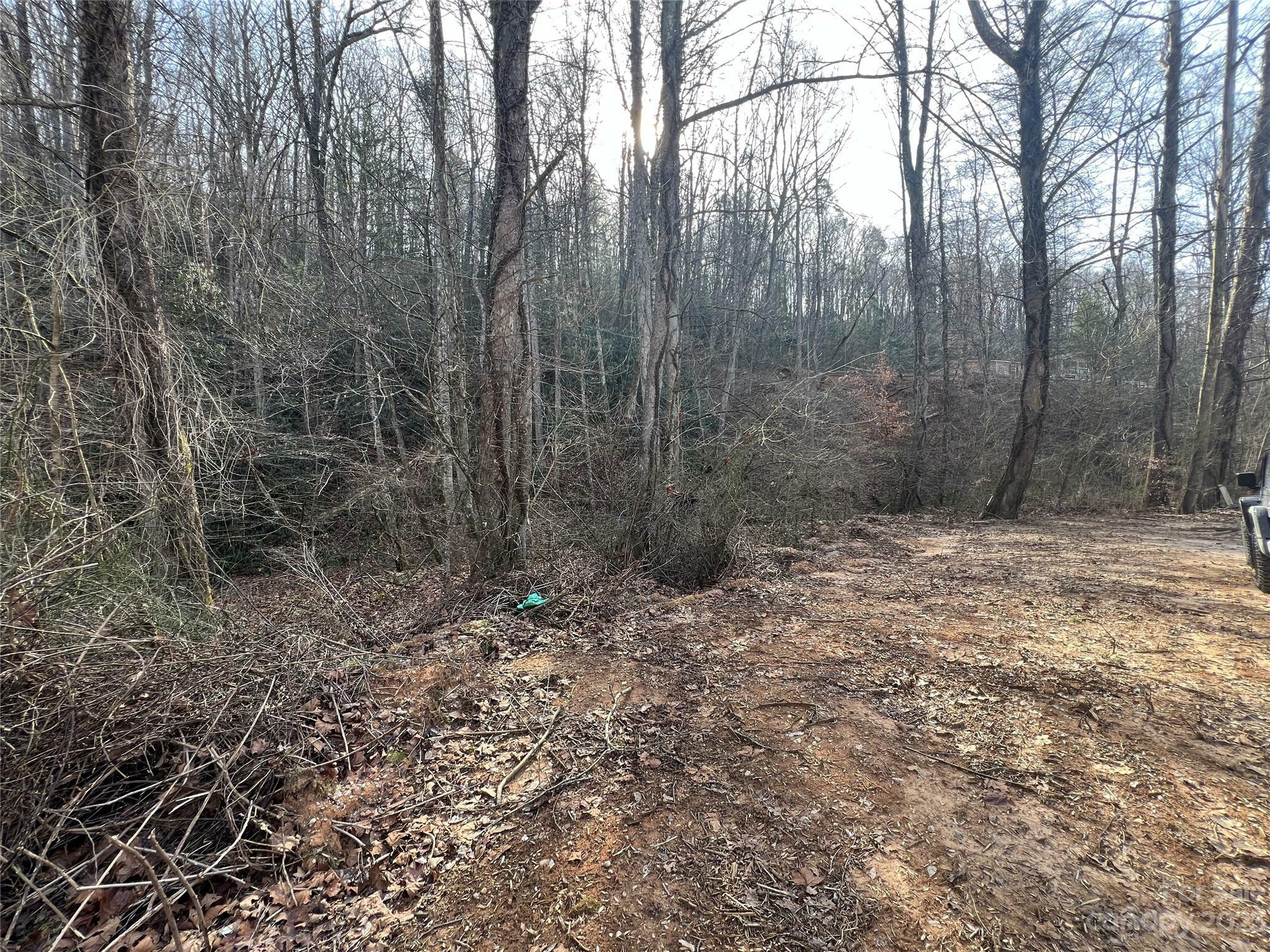 Property Photo:  Lot 19 Oakdale Estates Drive  NC 28762 