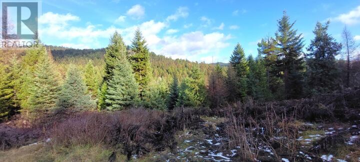 Property Photo: Lot 1213S Ingram Creek Forest Service Road BC V0H 1Y0
