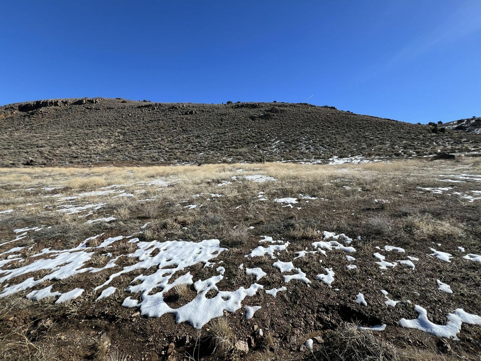 Property Photo:  Hamilton Creek Trail  NV 89801 