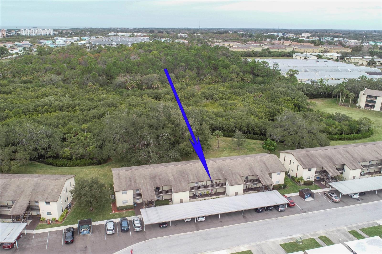 Property Photo: 4829 Onyx Lane 204 FL 34652