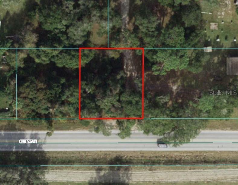 Property Photo:  Tbd SE Highway 42  FL 32784 