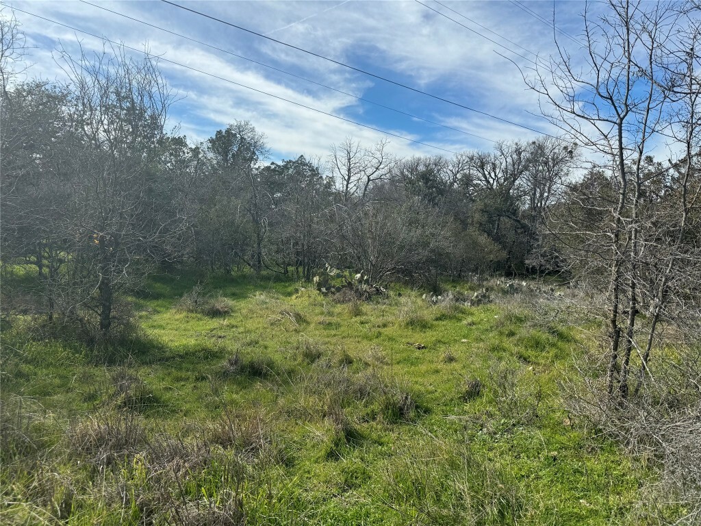 Property Photo:  Lot 7 Radium Drive  TX 78611 