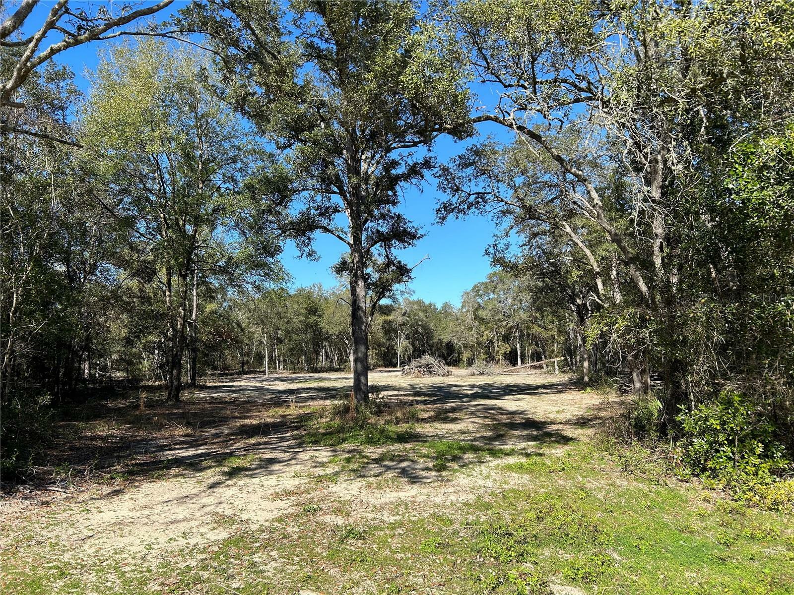 Property Photo:  Tbd NE 92nd Place  FL 32621 