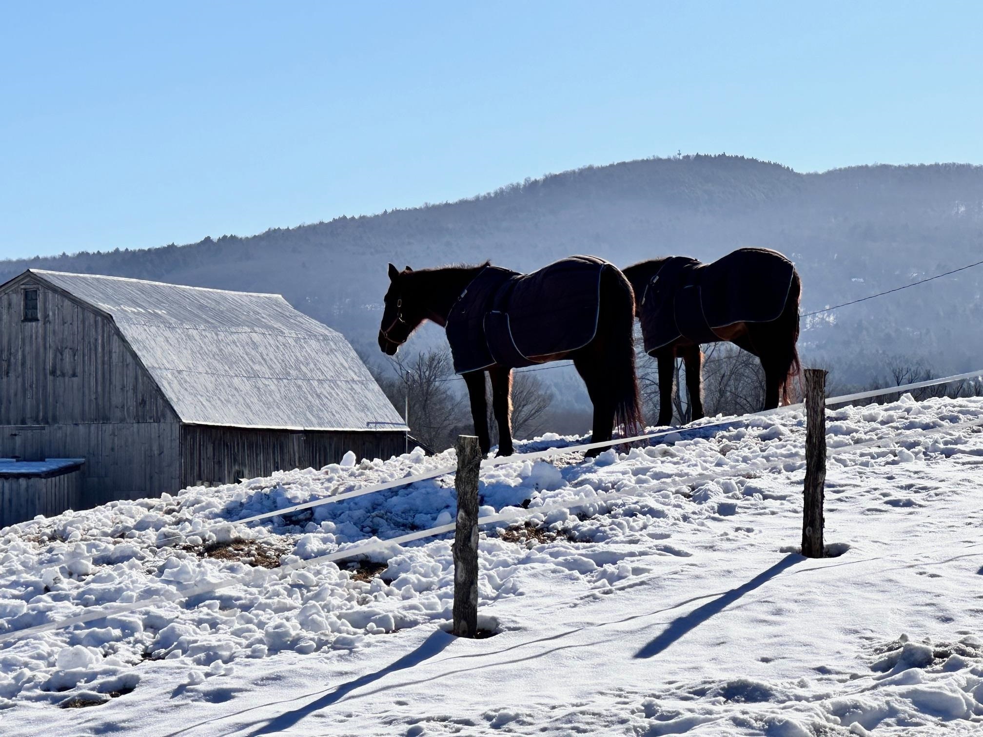 Property Photo:  1362 River Road  VT 05676 