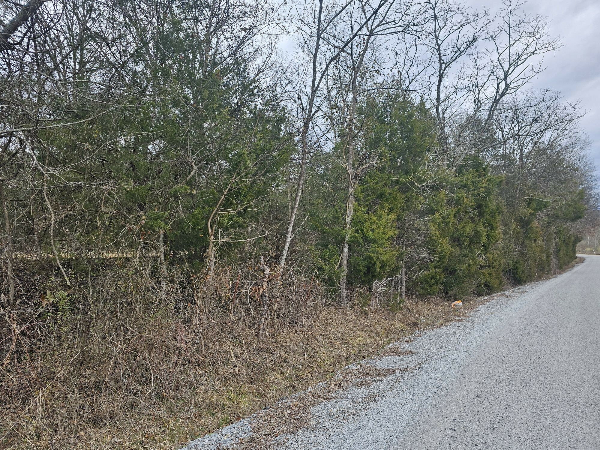 Property Photo:  2 Love Branch Rd  Tract 2  TN 38461 