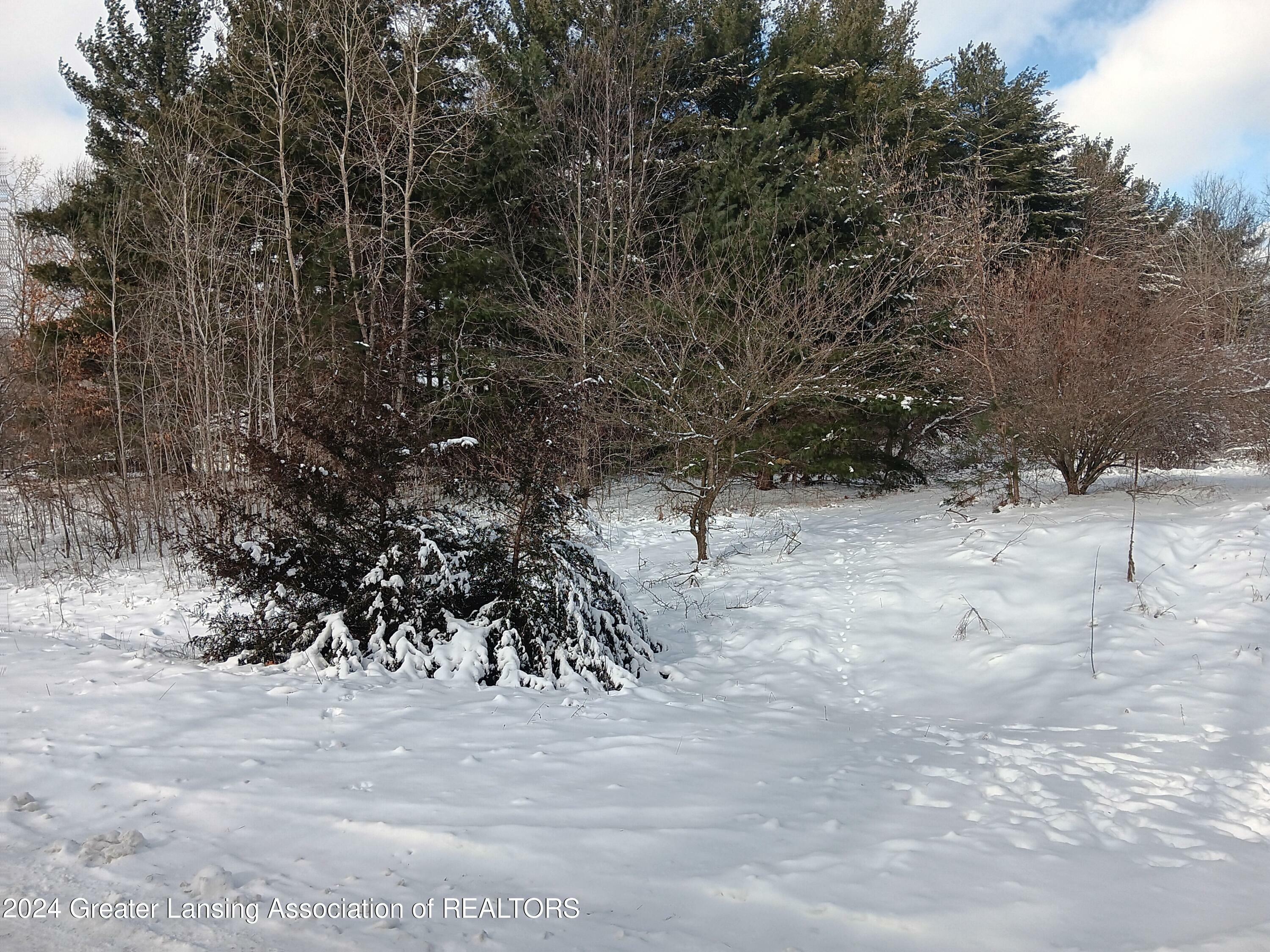 Property Photo:  00 Bennington Greens Lot 36  MI 48867 