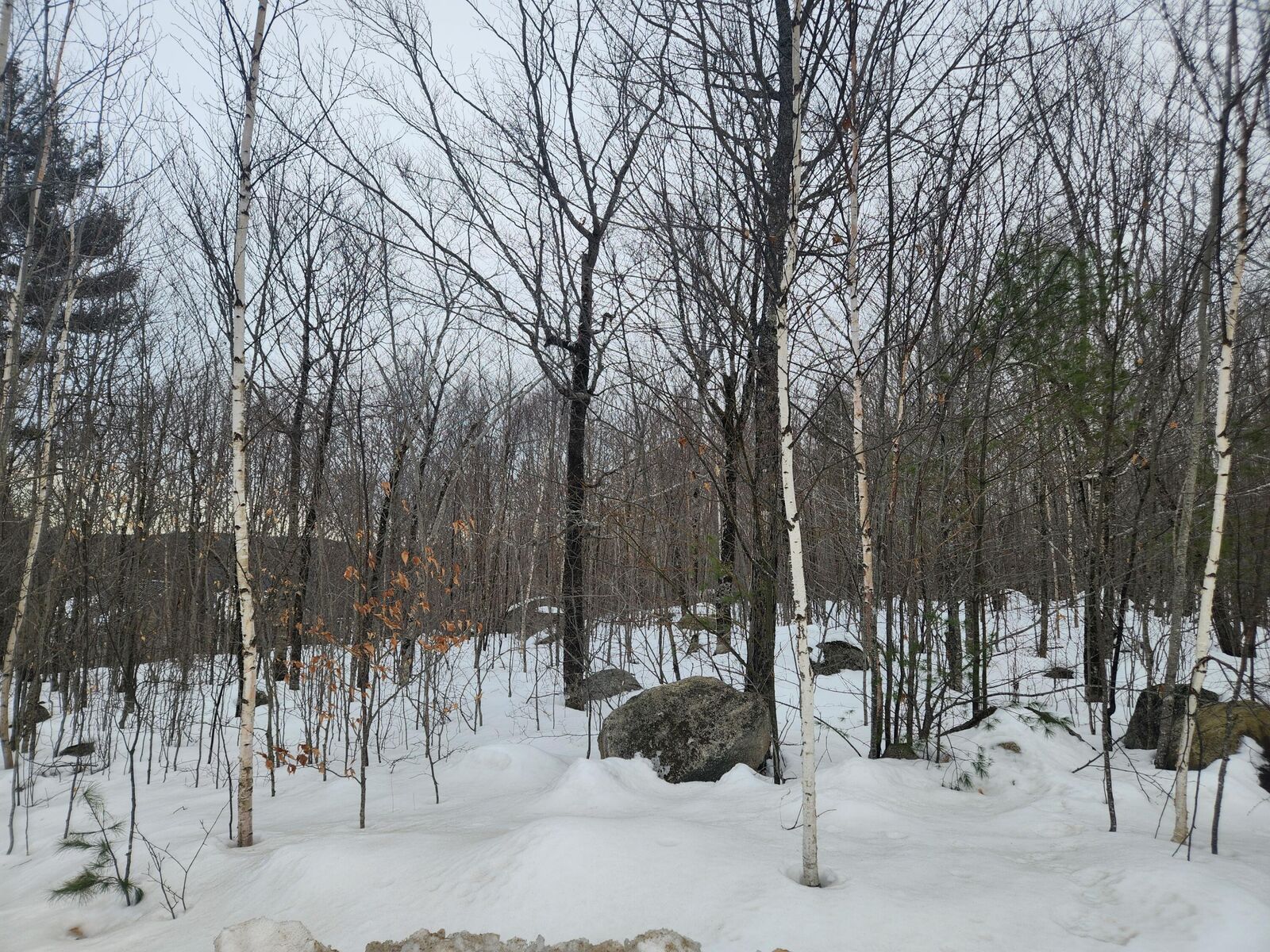 Property Photo: 52 High Ridge Road ME 04268