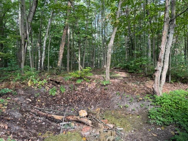 Property Photo: #3 S Perch Lake Drive MI 49735