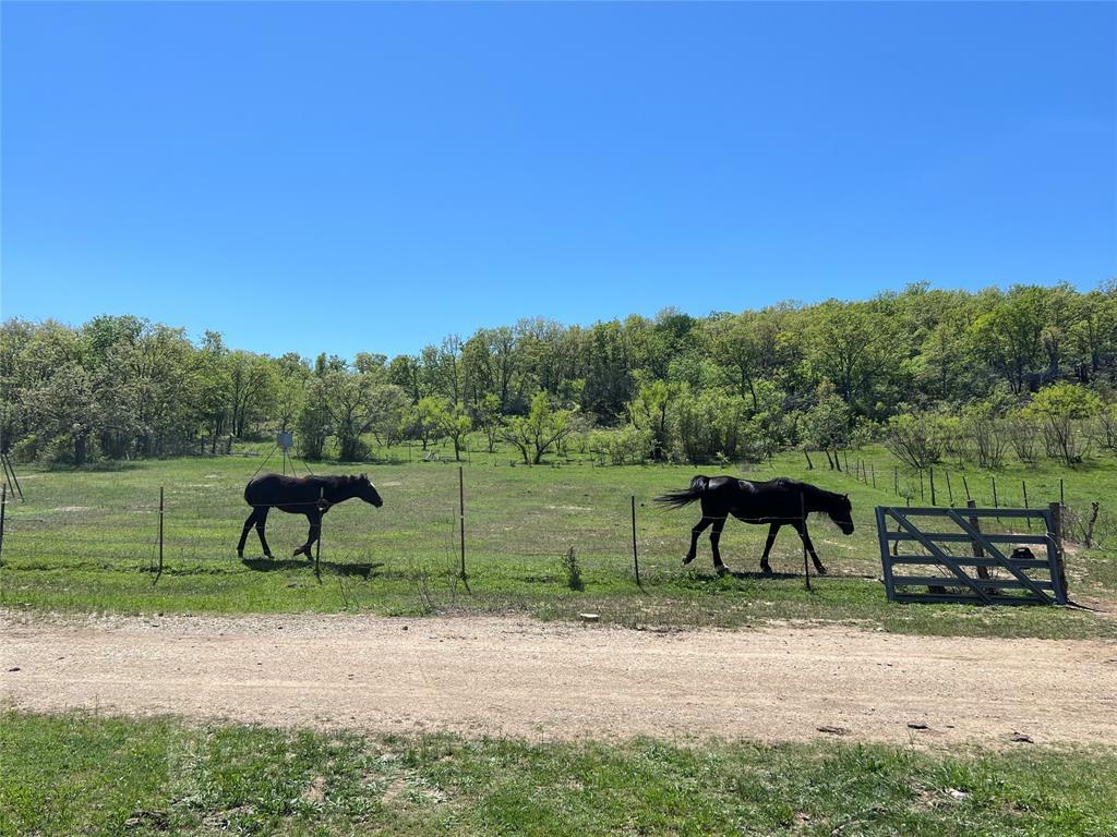 Property Photo:  4127 Salt Creek Road  TX 76458 