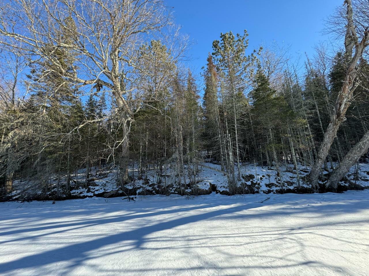 Property Photo:  Lot 4 Fisher Lake Rd W  WI 54534 