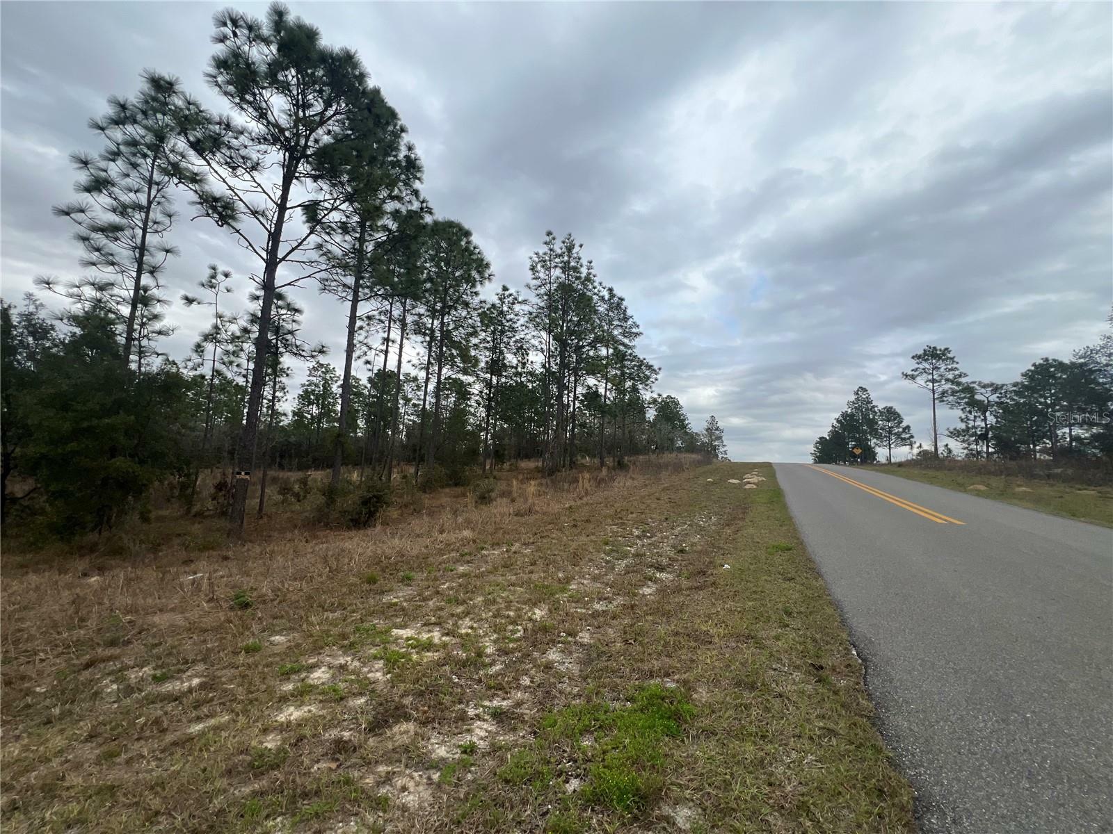 Property Photo:  Tbd SE 139th Court  FL 34431 