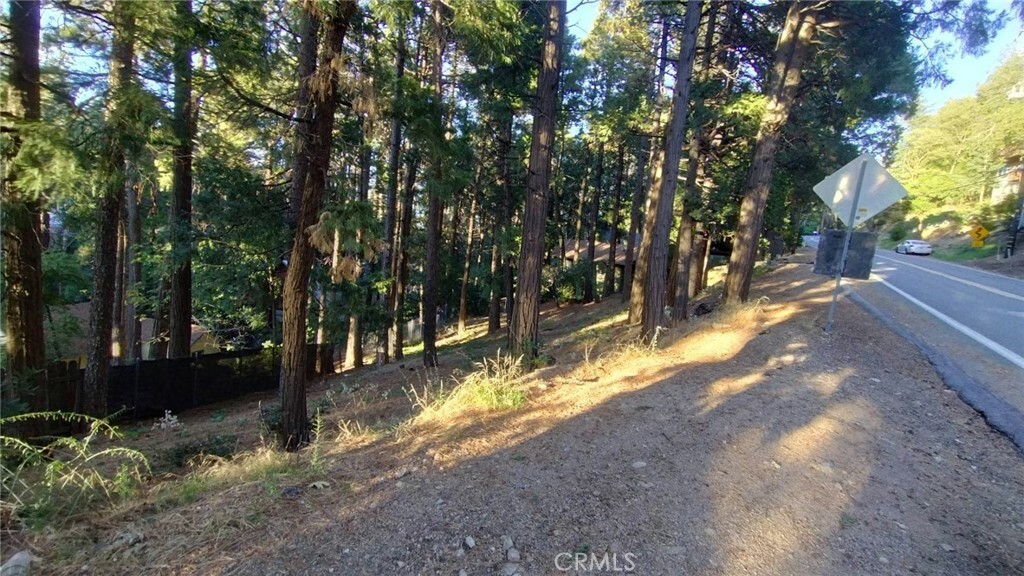 Property Photo:  0 Crest Forest Drive  CA 92325 