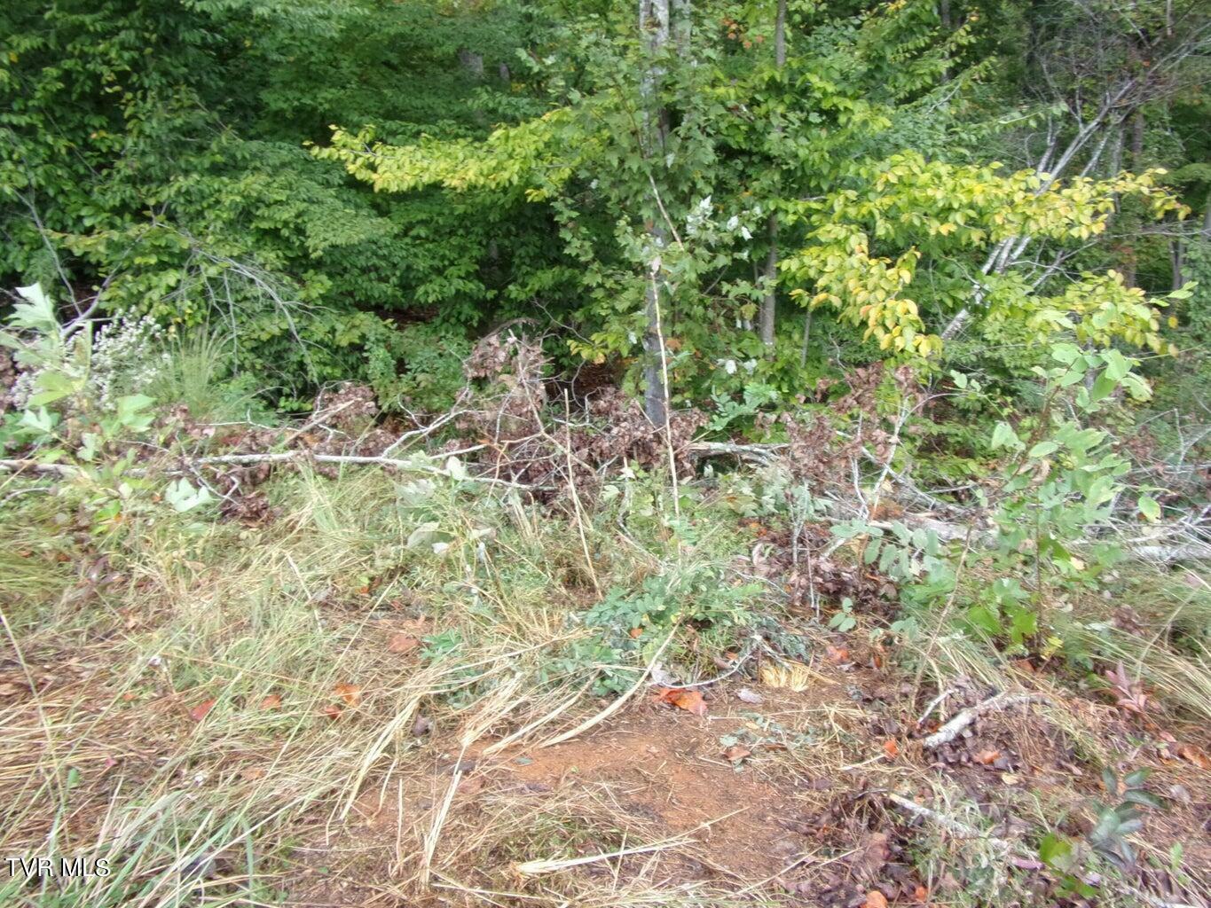 Property Photo:  Lot 25 Bridgewater Blvd  TN 37814 