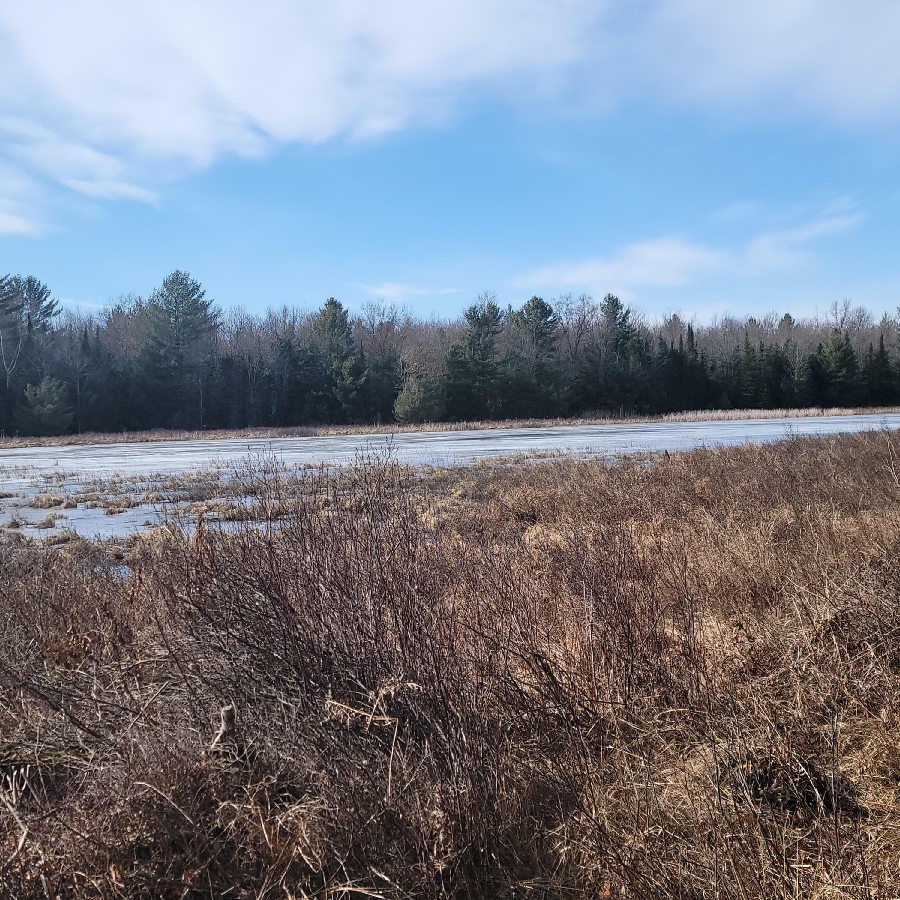 Old Pine Trail  Houghton Lake MI 48629 photo