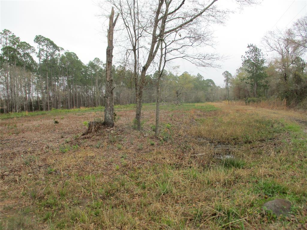 Property Photo:  0 Cr108 Road  FL 32046 