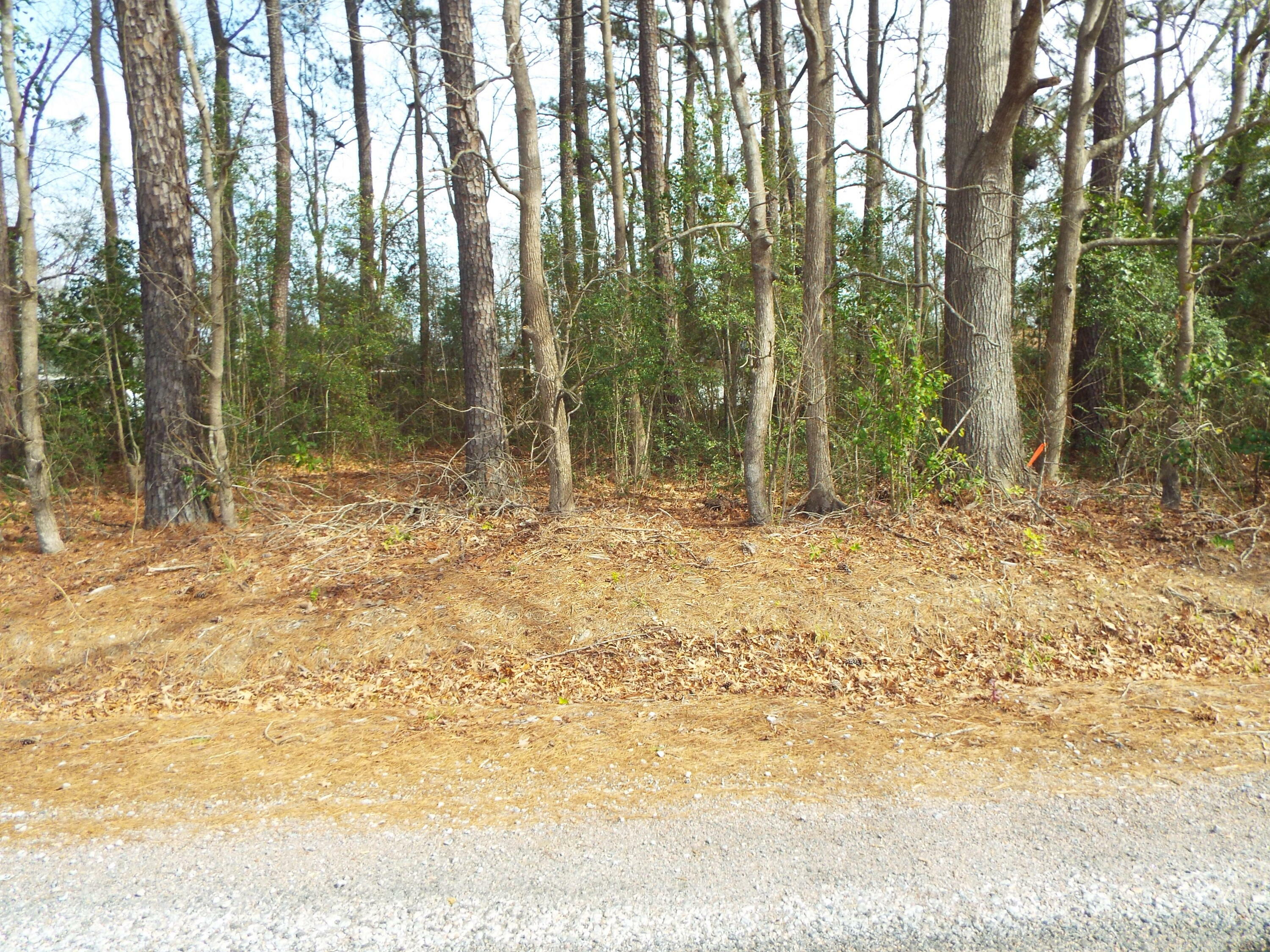 Property Photo:  0 Dennis Drive Lot 25  SC 29445 