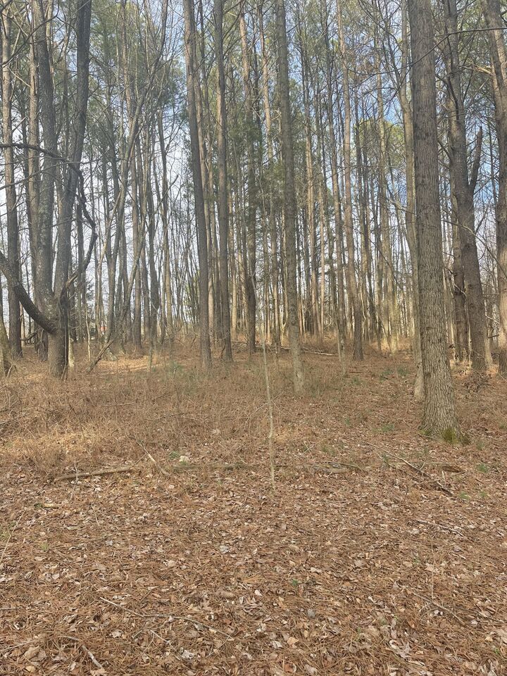 Property Photo:  0 Dobbins Pike  TN 37148 