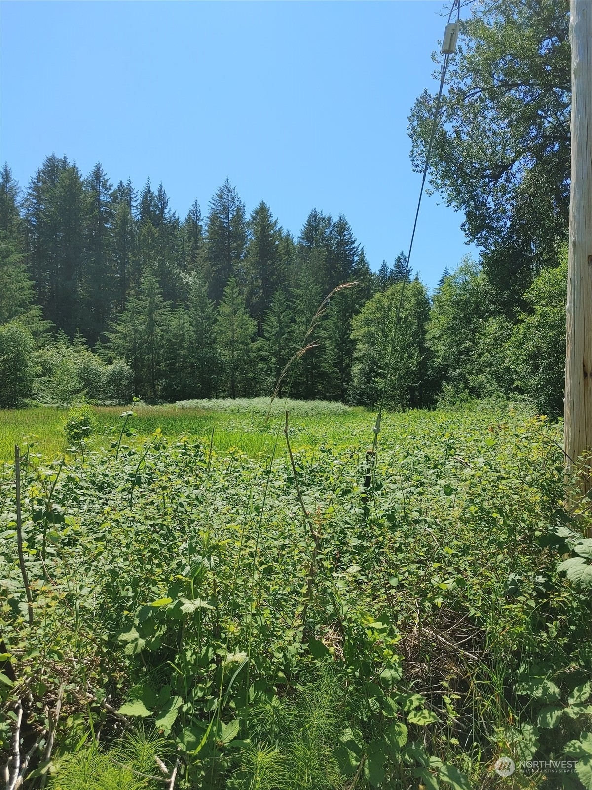 Property Photo:  50720 Hornbeck Drive  WA 98284 